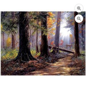 Peaceful Path, a 500-piece Puzzle by SunsOut